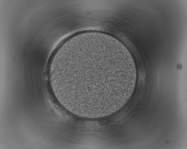 X0000110940628200907311017