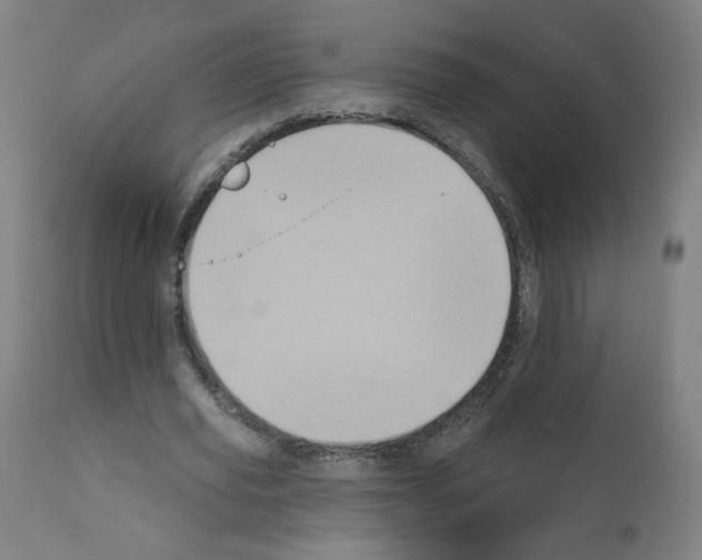 X0000110940629200907311017