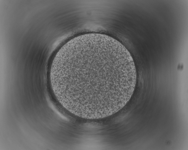 X0000110940630200907311017