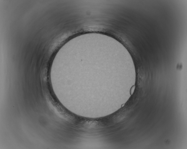 X0000110940631200907311017