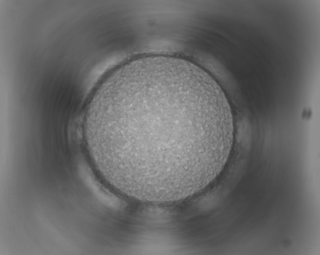 X0000110940632200907311017