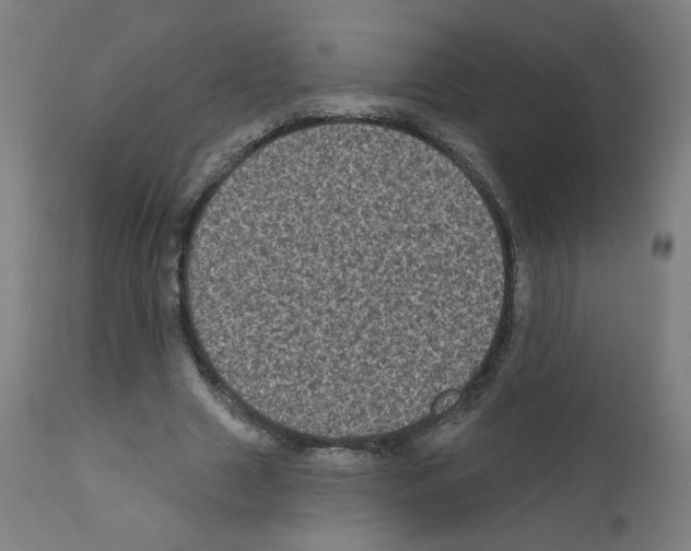 X0000110940633200907311017