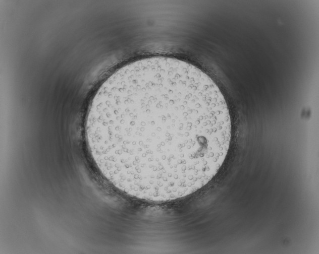 X0000110940635200907311017