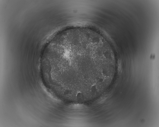 X0000110940637200907311017