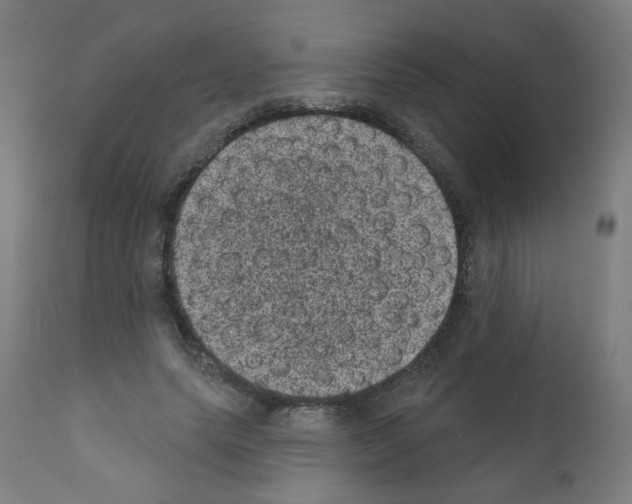 X0000110940639200907311017