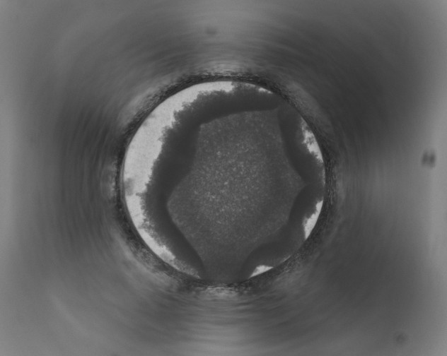 X0000110940640200907311017