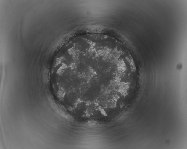 X0000110940641200907311017