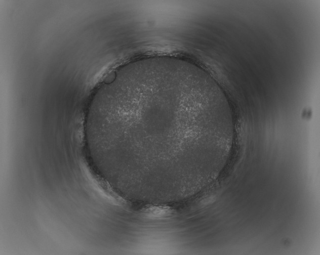 X0000110940642200907311017