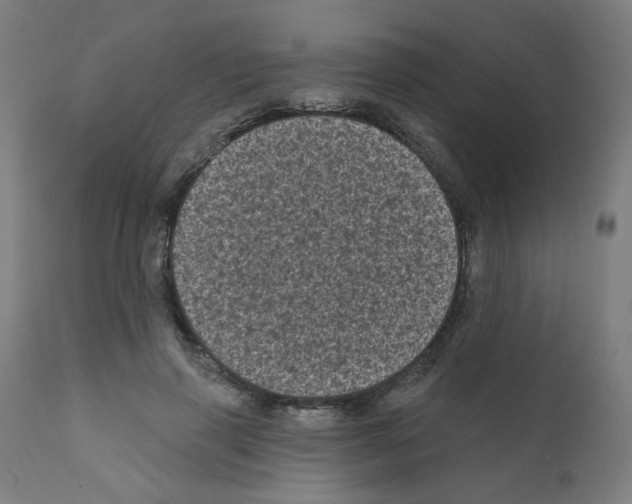X0000110940645200907311017