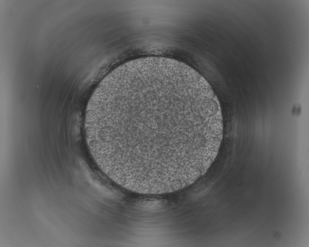 X0000110940646200907311017