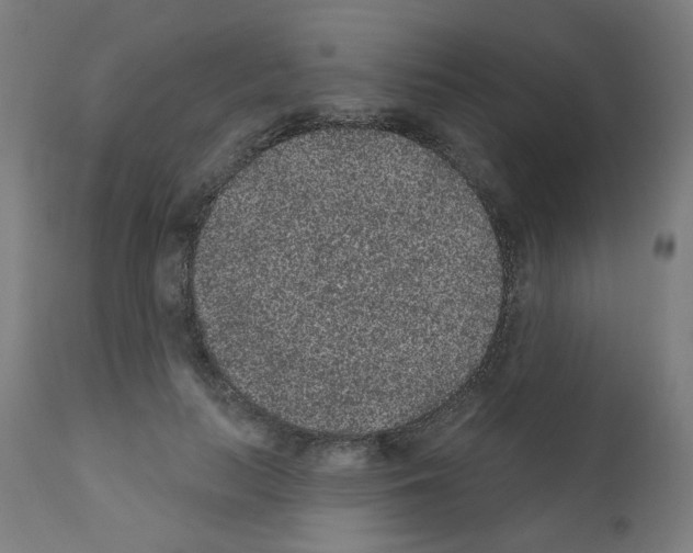 X0000110940647200907311018