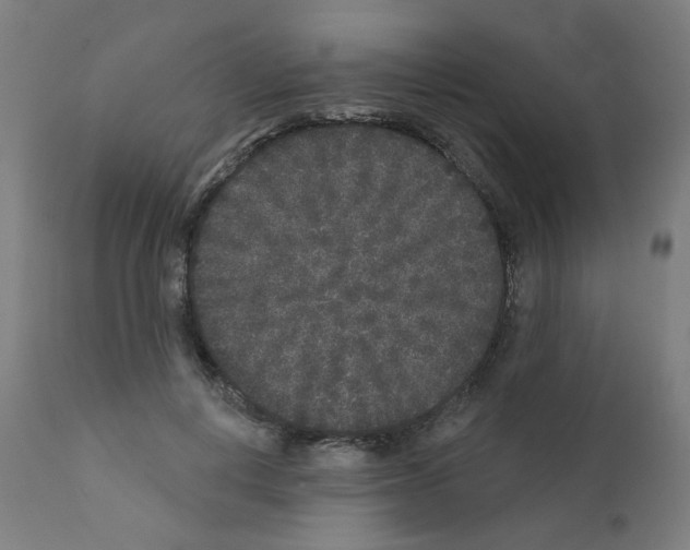 X0000110940648200907311018