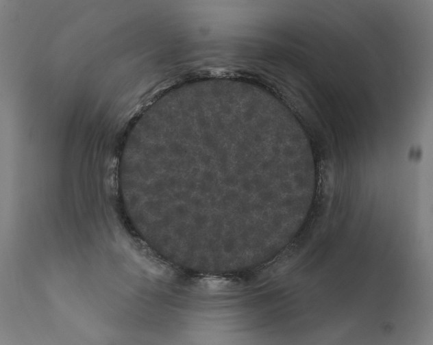 X0000110940650200907311018