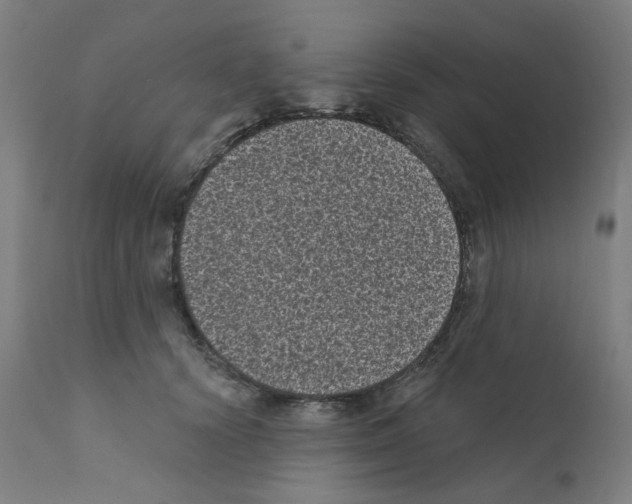 X0000110940656200907311018