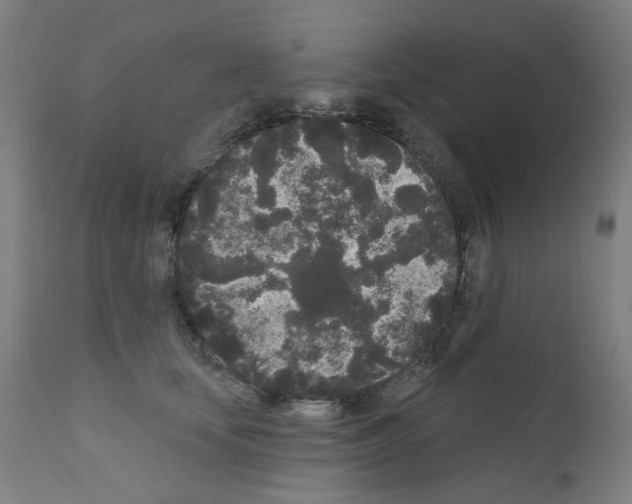 X0000110940659200907311018