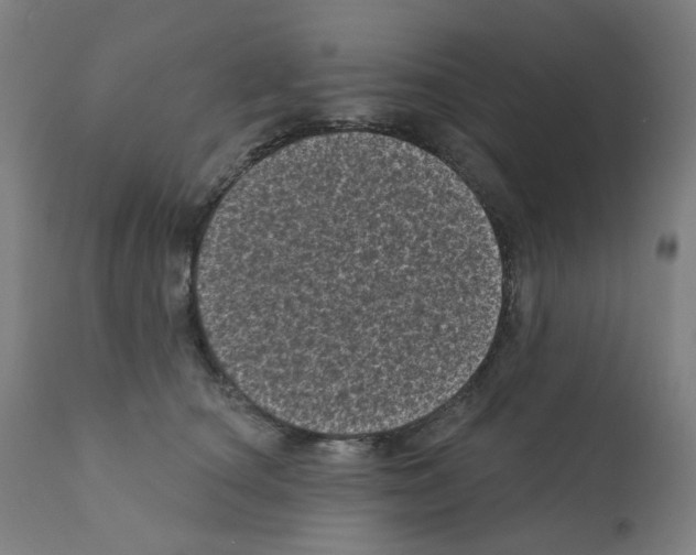 X0000110940660200907311018