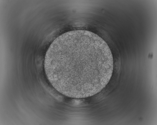 X0000110940662200907311018