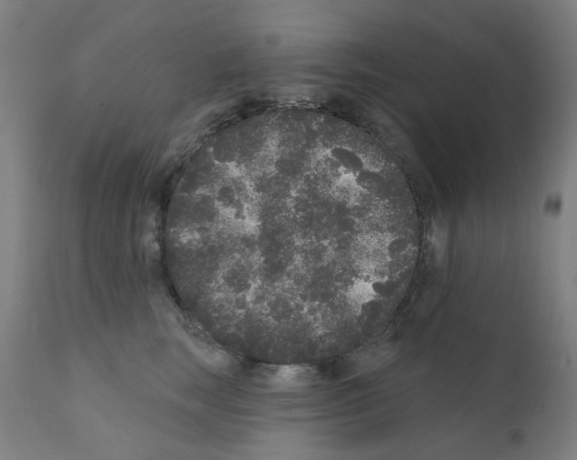 X0000110940663200907311018