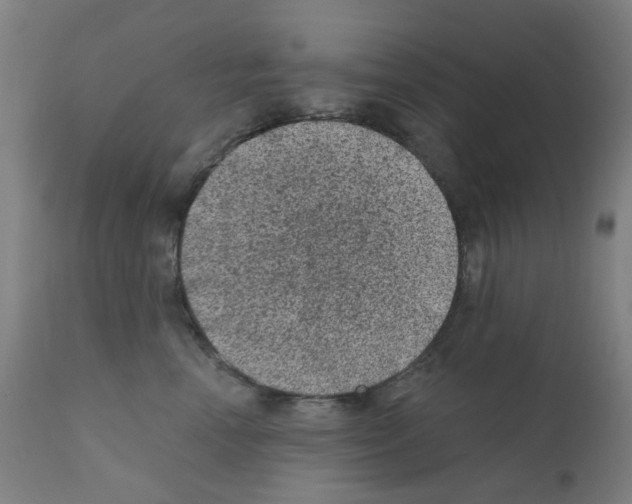 X0000110940666200907311018