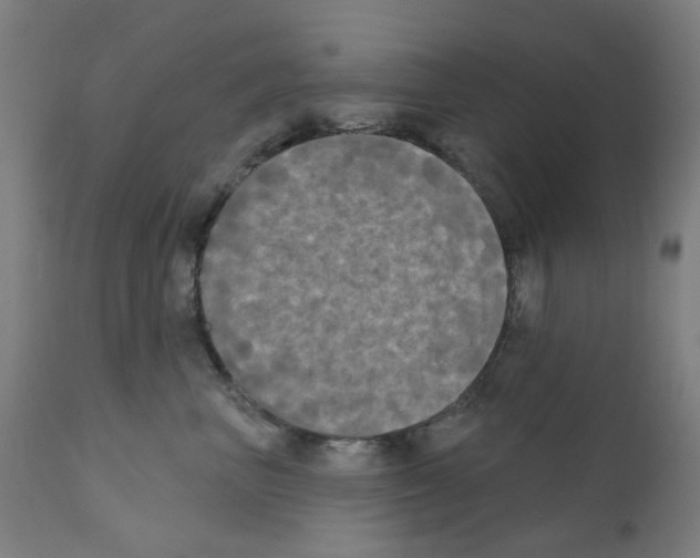 X0000110940667200907311018