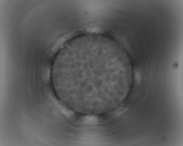 X0000110940668200907311018