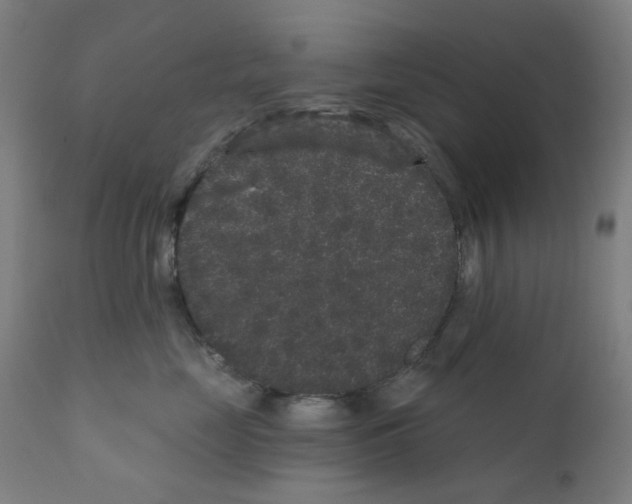 X0000110940669200907311018