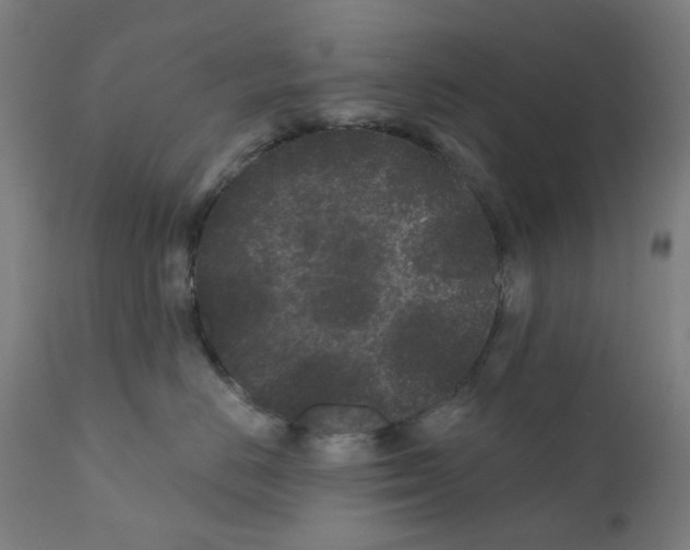 X0000110940670200907311018