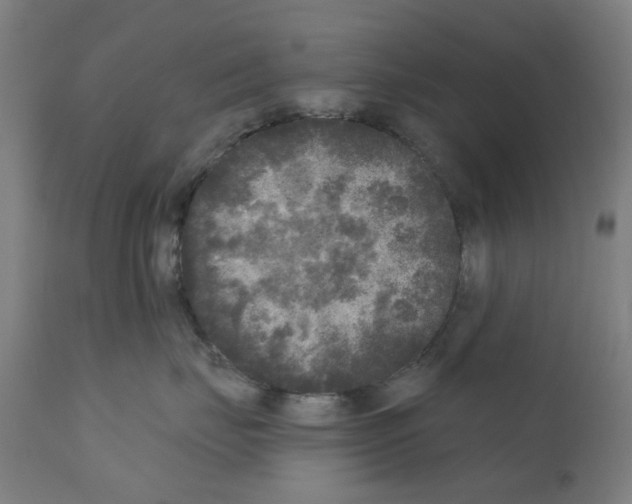 X0000110940671200907311018