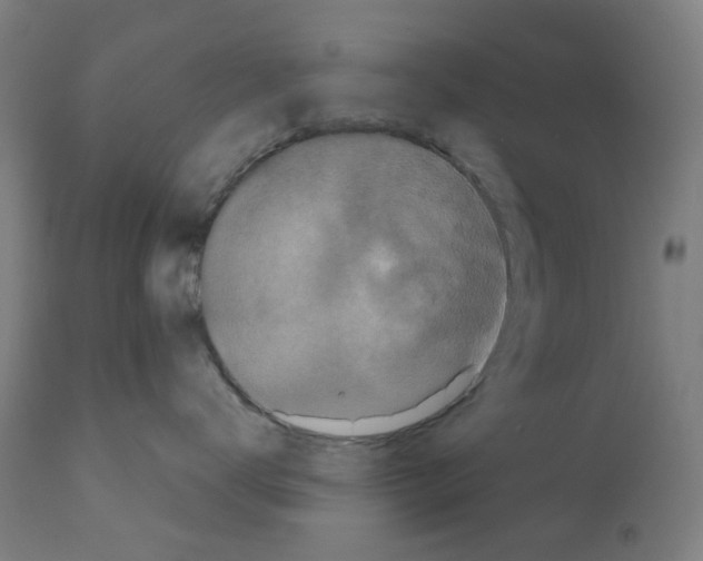 X0000110940672200907311018