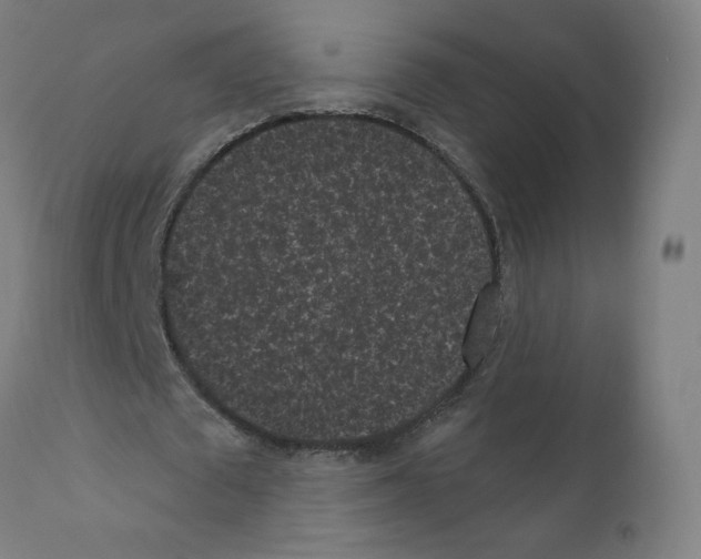 X0000110940673200907311017
