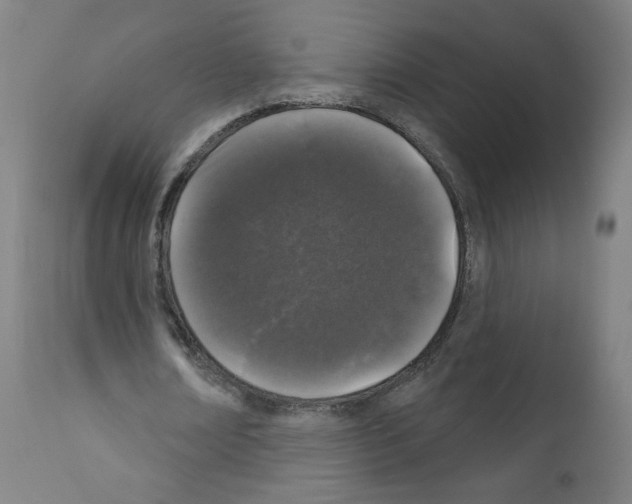 X0000110940674200907311017