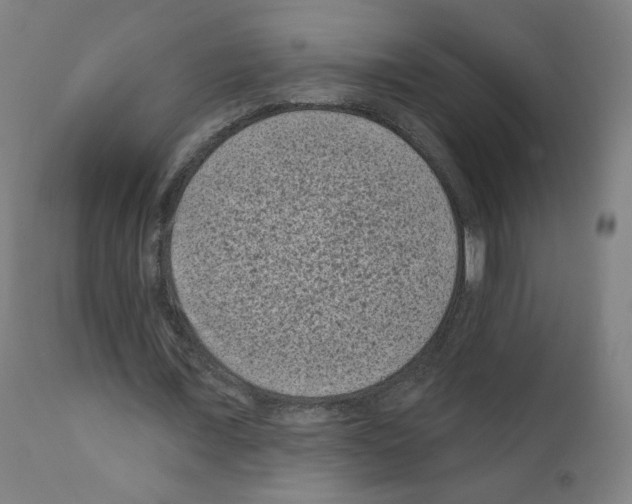 X0000110940675200907311017