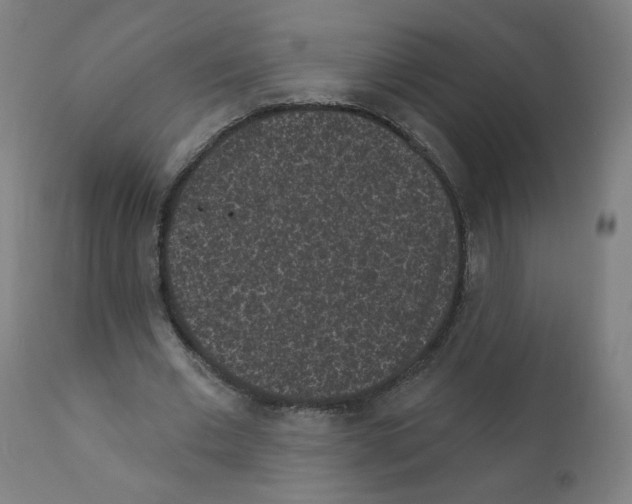 X0000110940677200907311017