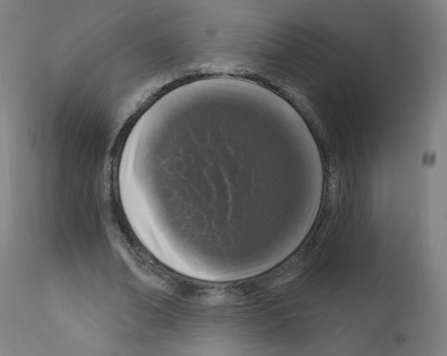 X0000110940678200907311017