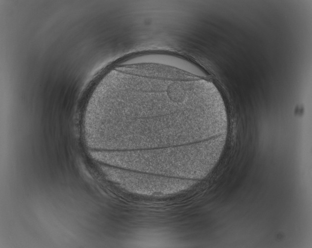 X0000110940680200907311017