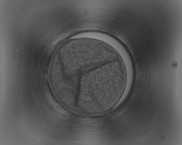 X0000110940681200907311017