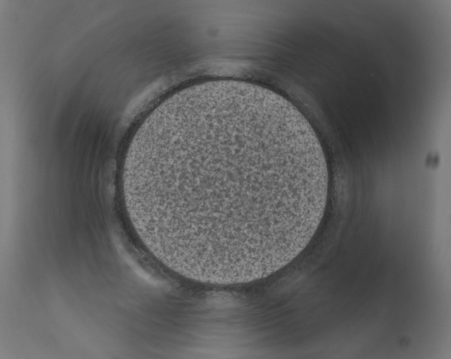X0000110940682200907311017
