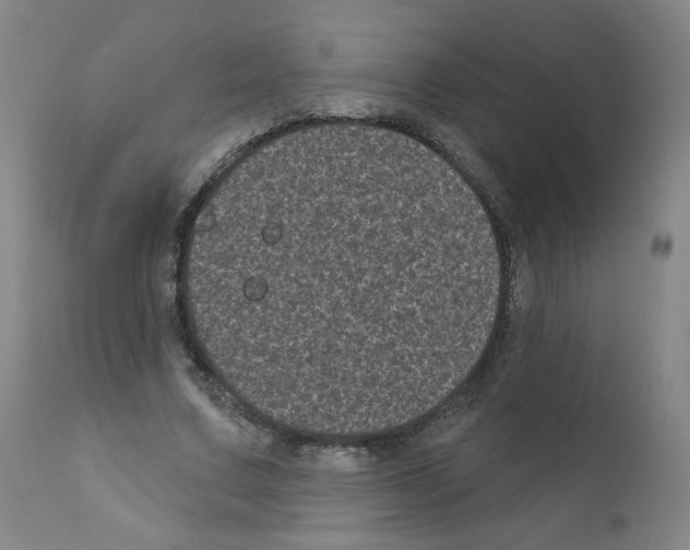 X0000110940683200907311017