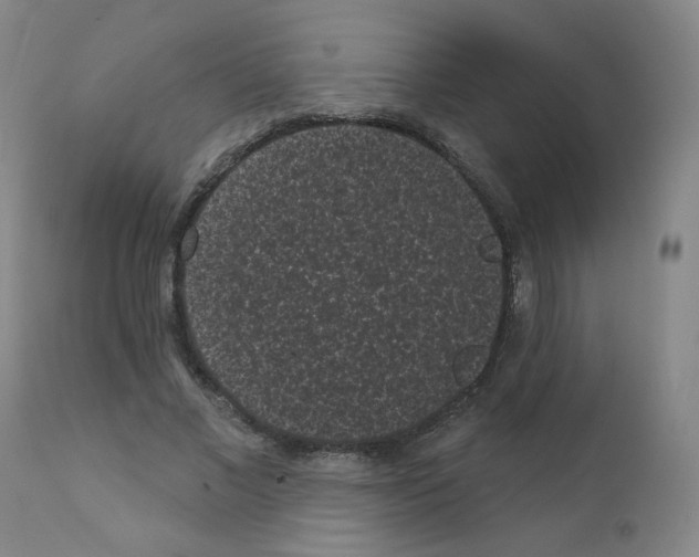 X0000110940685200907311017
