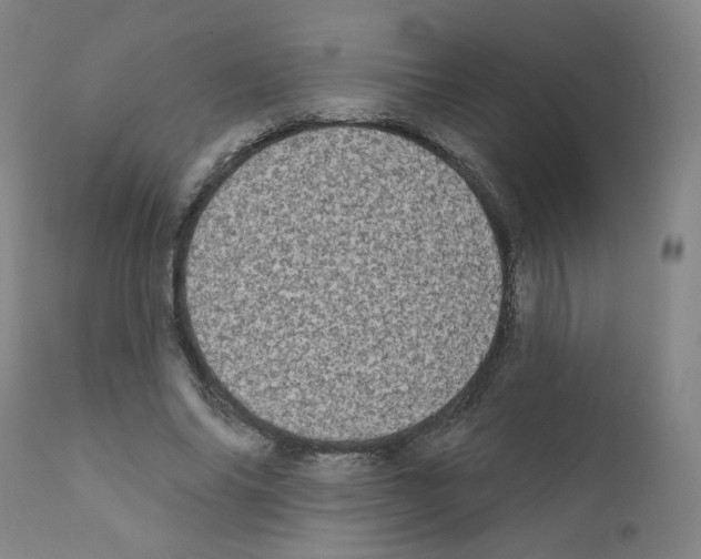 X0000110940686200907311016