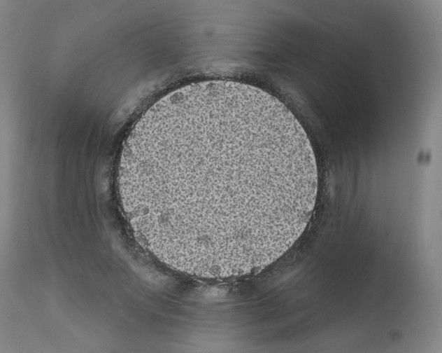 X0000110940687200907311016