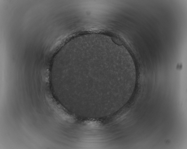 X0000110940689200907311016