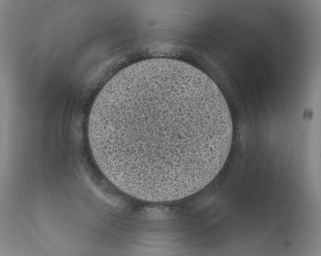 X0000110940690200907311016