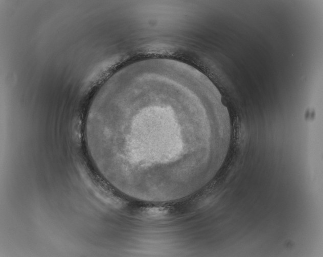 X0000110940692200907311016