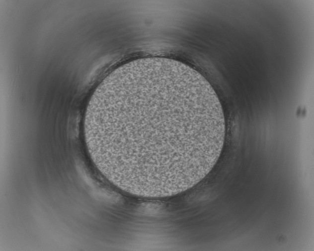 X0000110940694200907311016