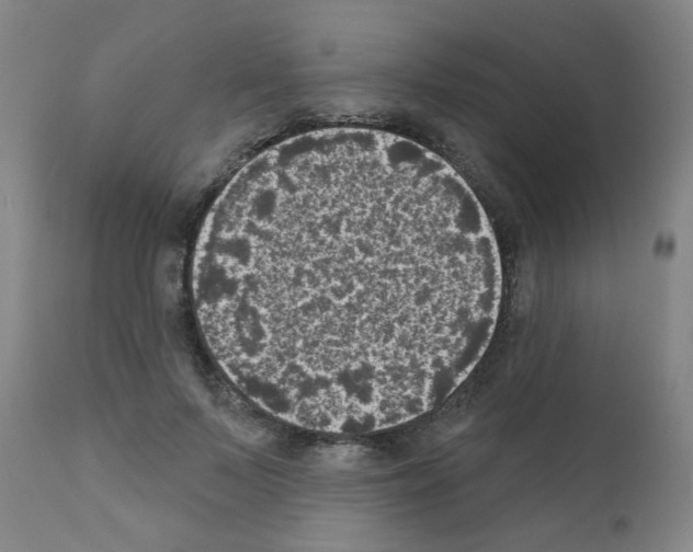 X0000110940695200907311016