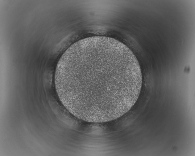 X0000110940697200907311016