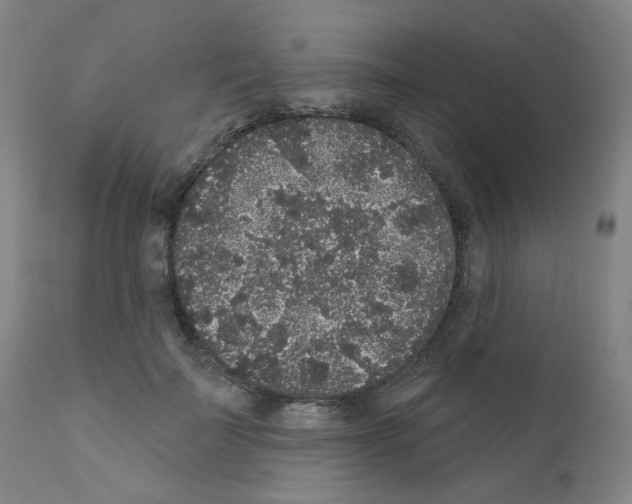 X0000110940699200907311016