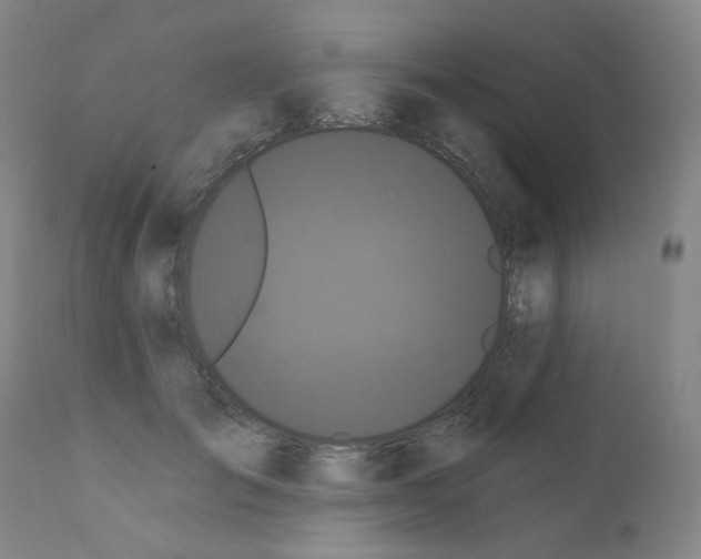 X0000110940701200907311016