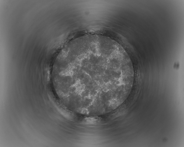 X0000110940703200907311016